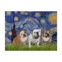 English Bulldog Trio - Starry Night Postcards