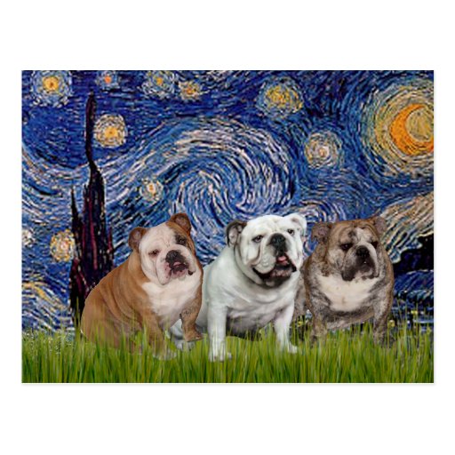 English Bulldog Trio - Starry Night Postcards