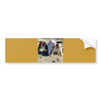 English Bulldogs Puppy Love! Bumper Stickers
