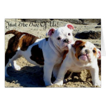 English Bulldogs Puppy Love! Card