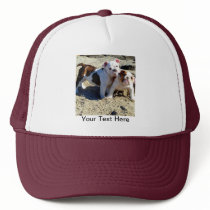 English Bulldogs Puppy Love! Hats