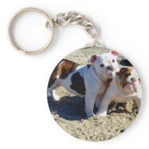 English Bulldogs Puppy Love! Key Chains