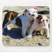 English Bulldogs Puppy Love! Mousepads