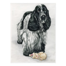 English Cocker Spaniel Art Postcard