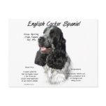 English Cocker Spaniel (parti) History Design