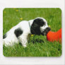 English Cocker Spaniel Puppy with Red Clog Mouse Mats