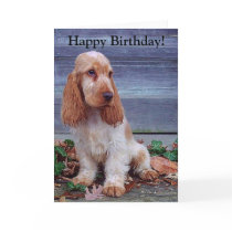 English Cocker Spaniels Cards