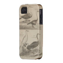 English Engraving Birds Vibe iPhone 4 Case