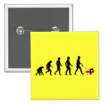 English evolution pins