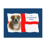 English flag and bulldog Postcard