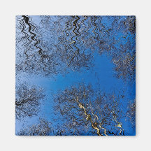 English Forest Art Refrigerator Magnets