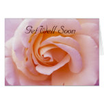 English Garden Rose Greeting Card