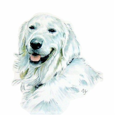English Golden Retriever Sculpture Photo Sculpture by mozache