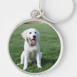English golden retriever template key chain