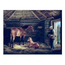 English Mare With Her Foals, 1833 Post Card
