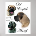 English Mastiff Art Prints