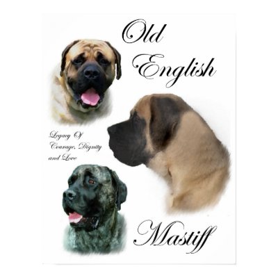 English Mastiff Art Prints by DogsByDezign