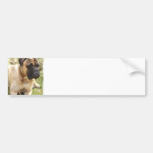 English Mastiff Bumper Sticker