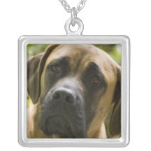 English Mastiff Necklaces