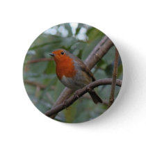 English Robin Buttons