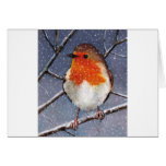 ENGLISH ROBIN IN SNOW: OIL PASTEL ART cards
