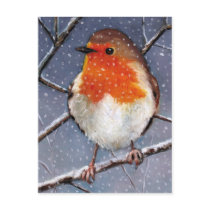 ENGLISH ROBIN IN SNOW: OIL PASTEL ART POST CARDS