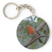English Robin Key Chains