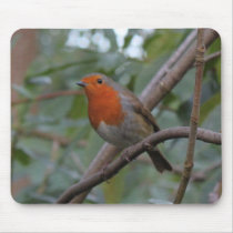 English Robin Mousepad