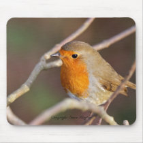 English Robin Mousepad