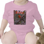English Robin T-shirts
