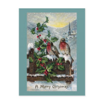 English Robins on a Fence Antique Christmas Postcard