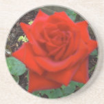 English Rose Coasters