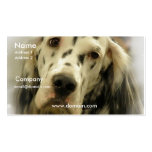 English Setter Business Card business cards