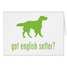 English Setter Card