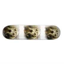 English Setter Dog on a Skateboard