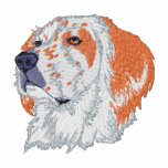English Setter