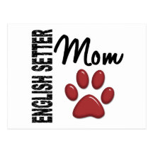 English Setter Mom 2 Post Card