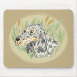 English Setter Plants and Oval
