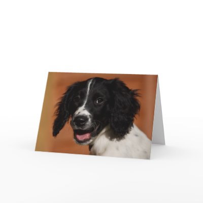 English Springer Spaniel Cards by cARTerART