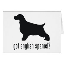 English Springer Spaniel Greeting Cards