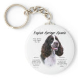 English Springer Spaniel (liver) History Design