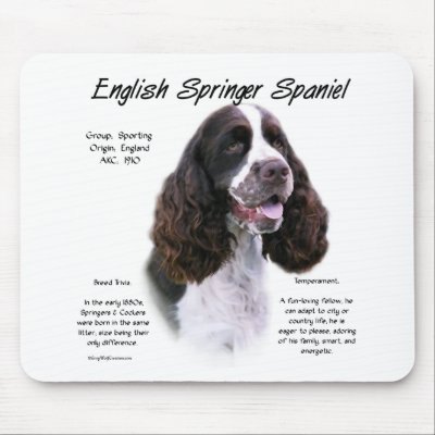 English Springer Spaniel (liver) History Design by GreyWolfCreation
