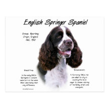 English Springer Spaniel (liver) History Design Postcard