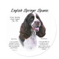 English Springer Spaniel (liver) History Design