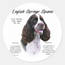 English Springer Spaniel (liver) History Design Round Stickers