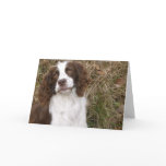 English Springer Spaniel - Man's Best Friend Greeting Cards
