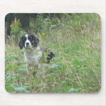 English Springer Spaniel, mousepad