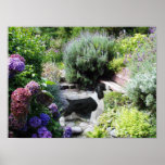 English Springer Spaniel Print