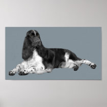 English Springer Spaniel Print