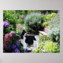 English Springer Spaniel Print